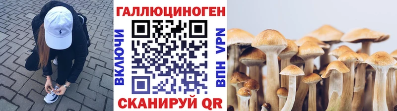 Галлюциногенные грибы мицелий  закладки  Инта 